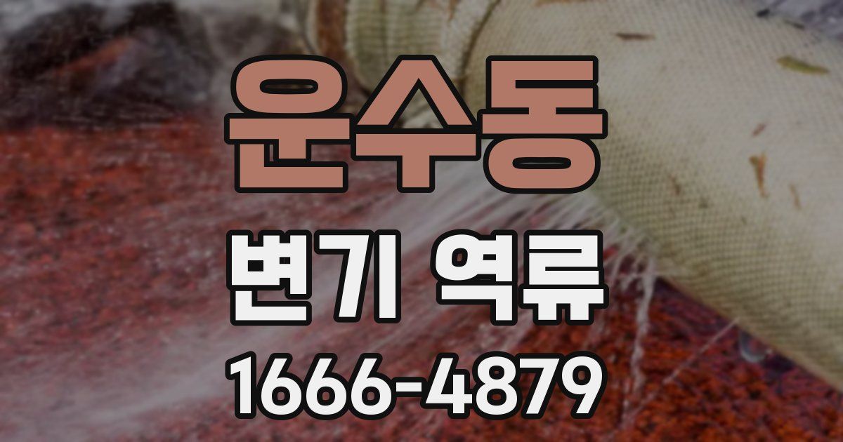 운수동 변기 역류