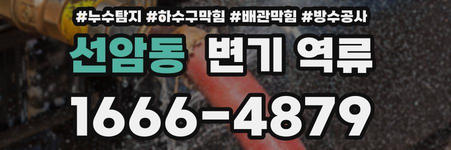 선암동 변기 역류