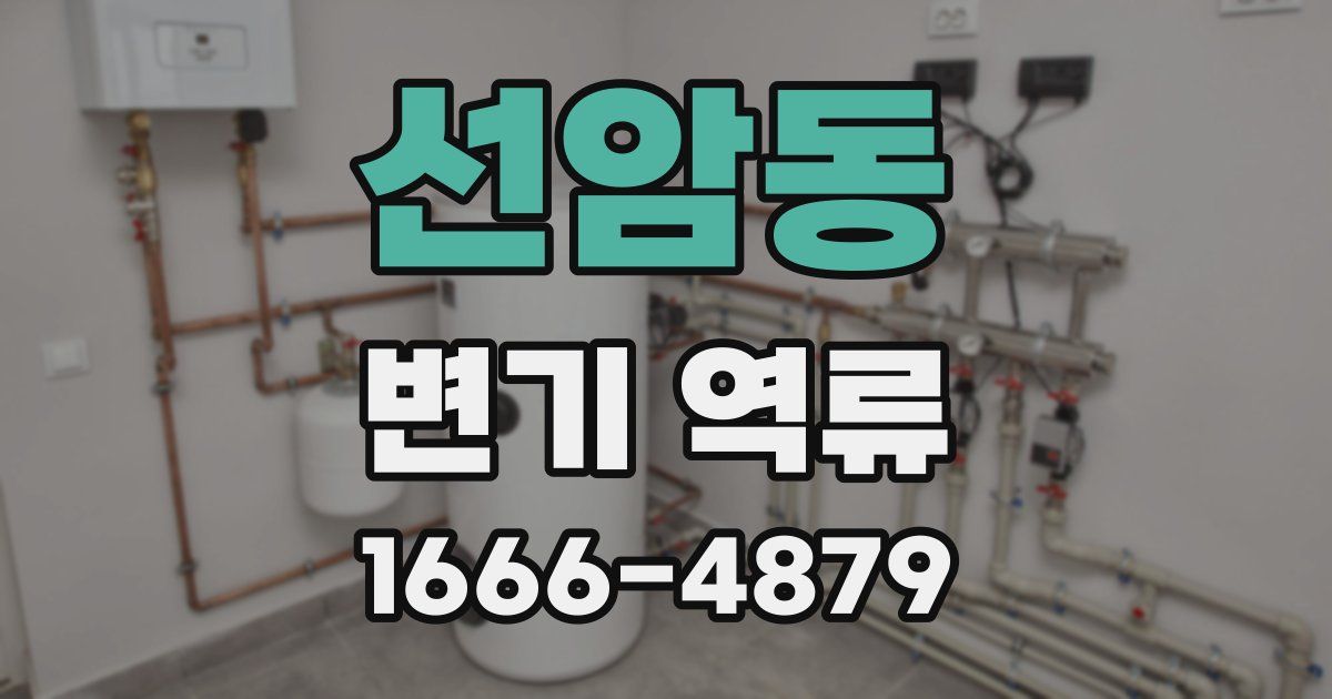 선암동 변기 역류