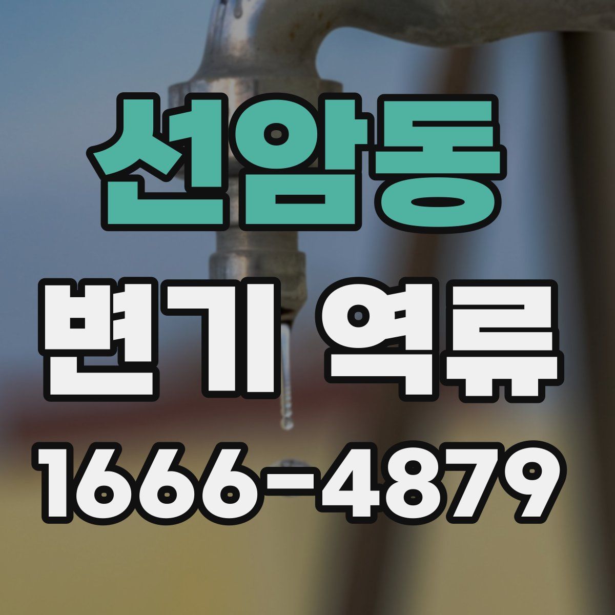 선암동 변기 역류
