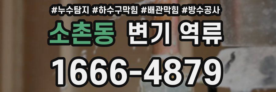 소촌동 변기 역류