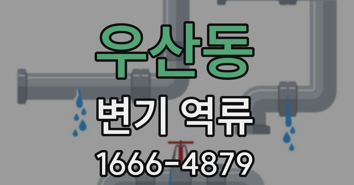 우산동 변기 역류