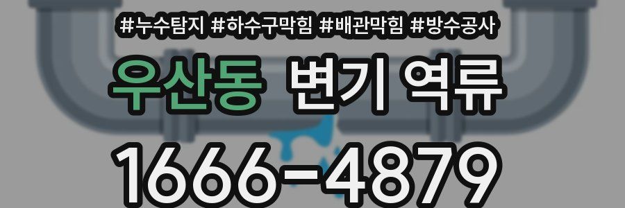 우산동 변기 역류