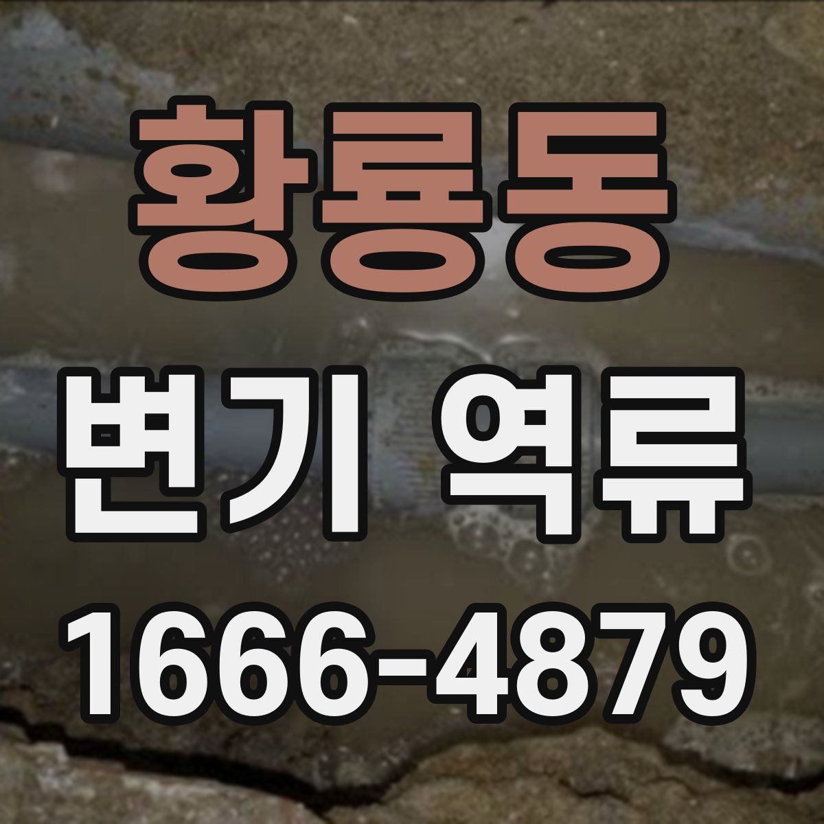 황룡동 변기 역류