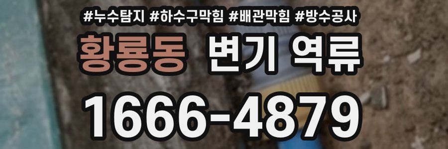 황룡동 변기 역류