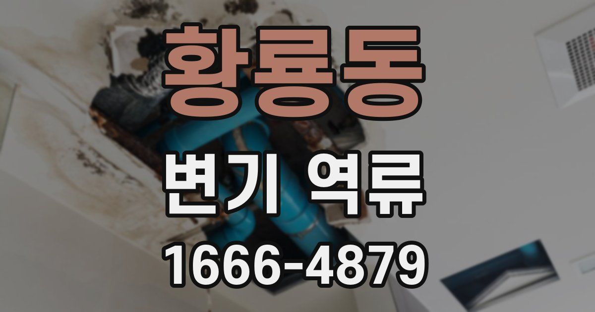 황룡동 변기 역류