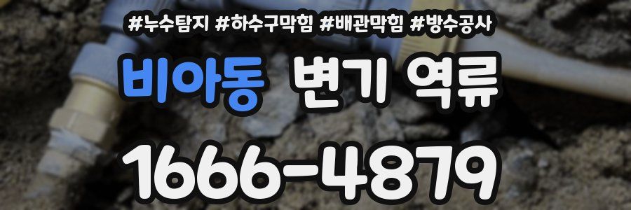 비아동 변기 역류