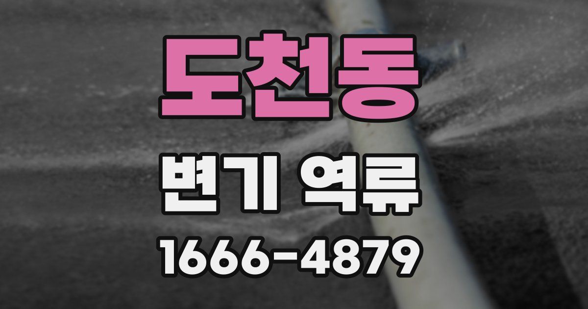 도천동 변기 역류