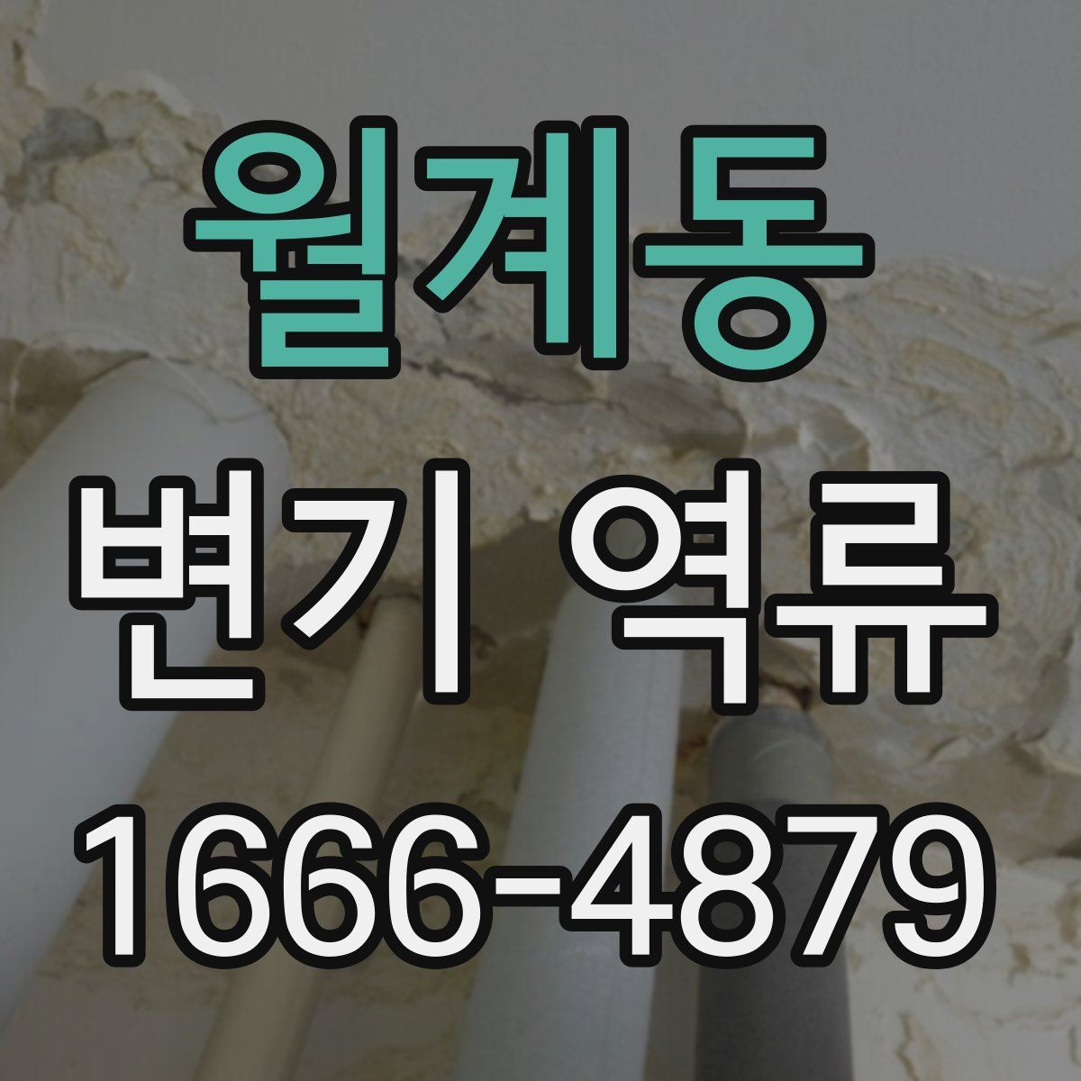 월계동 변기 역류
