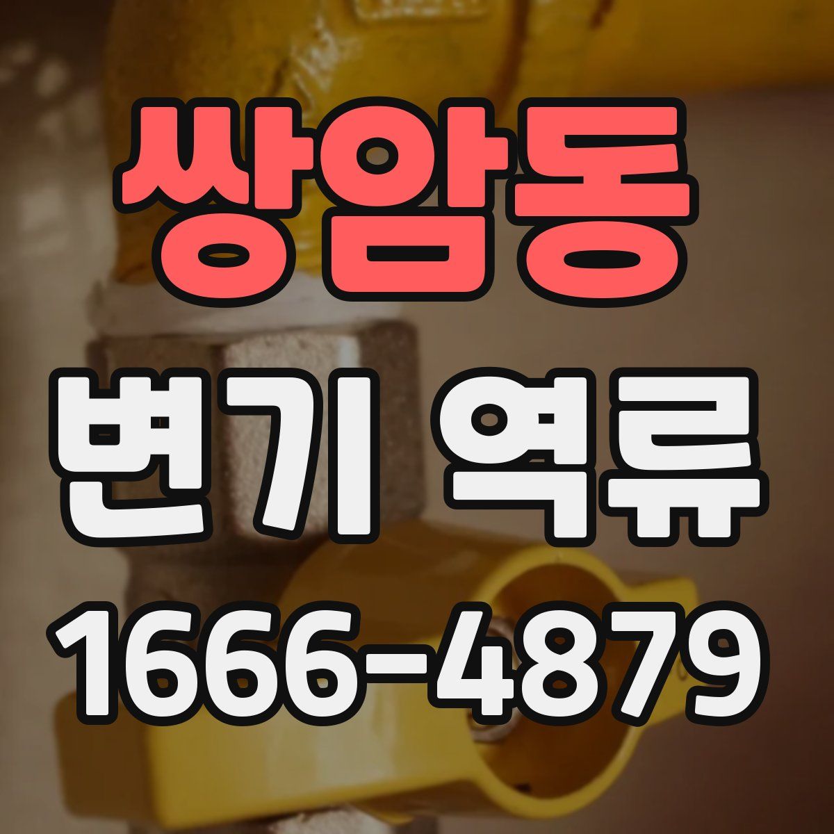 쌍암동 변기 역류