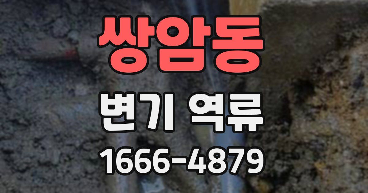 쌍암동 변기 역류