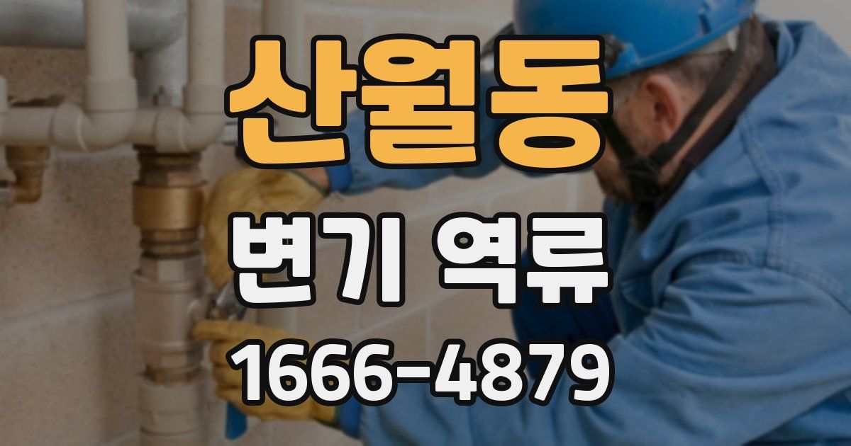 산월동 변기 역류