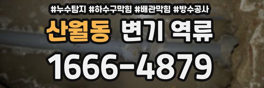 산월동 변기 역류