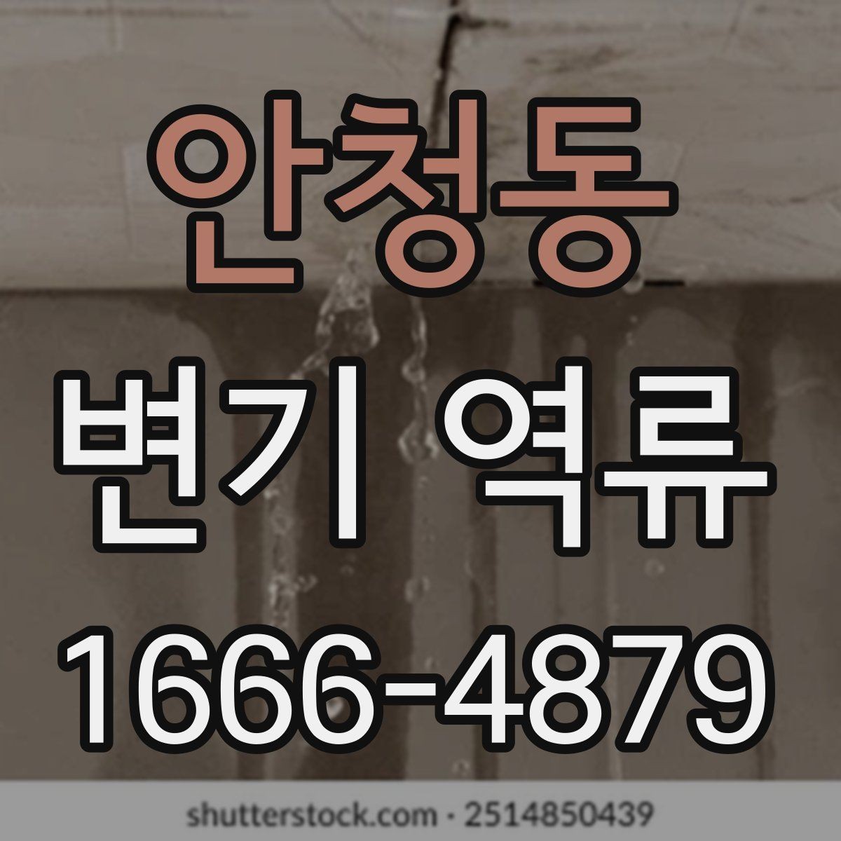 안청동 변기 역류 점검은 어디서부터 시작할까