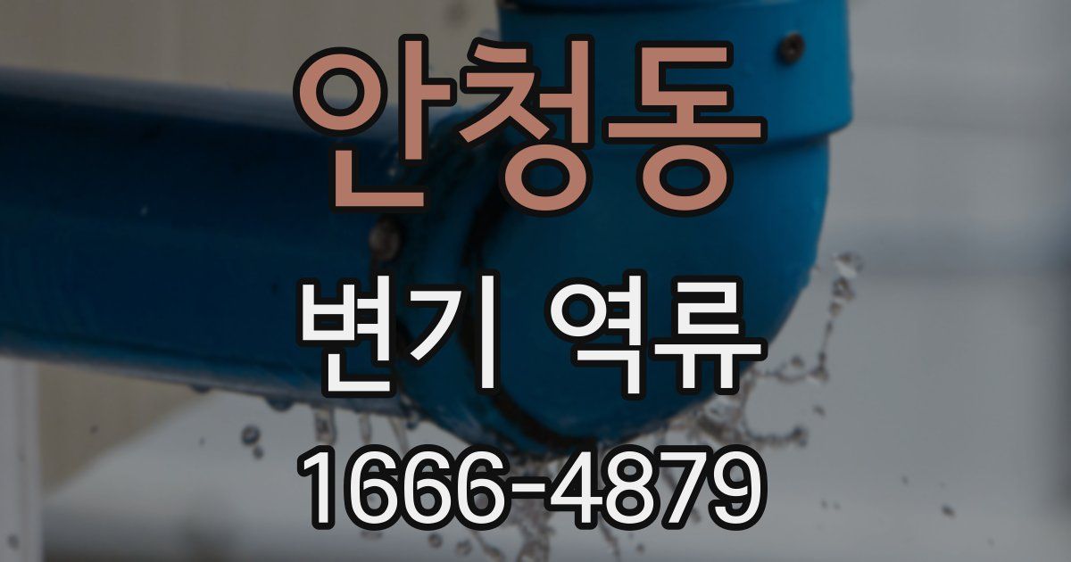 안청동 변기 역류