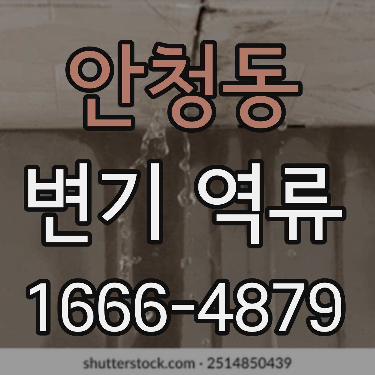 안청동 변기 역류