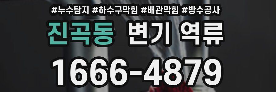 진곡동 변기 역류