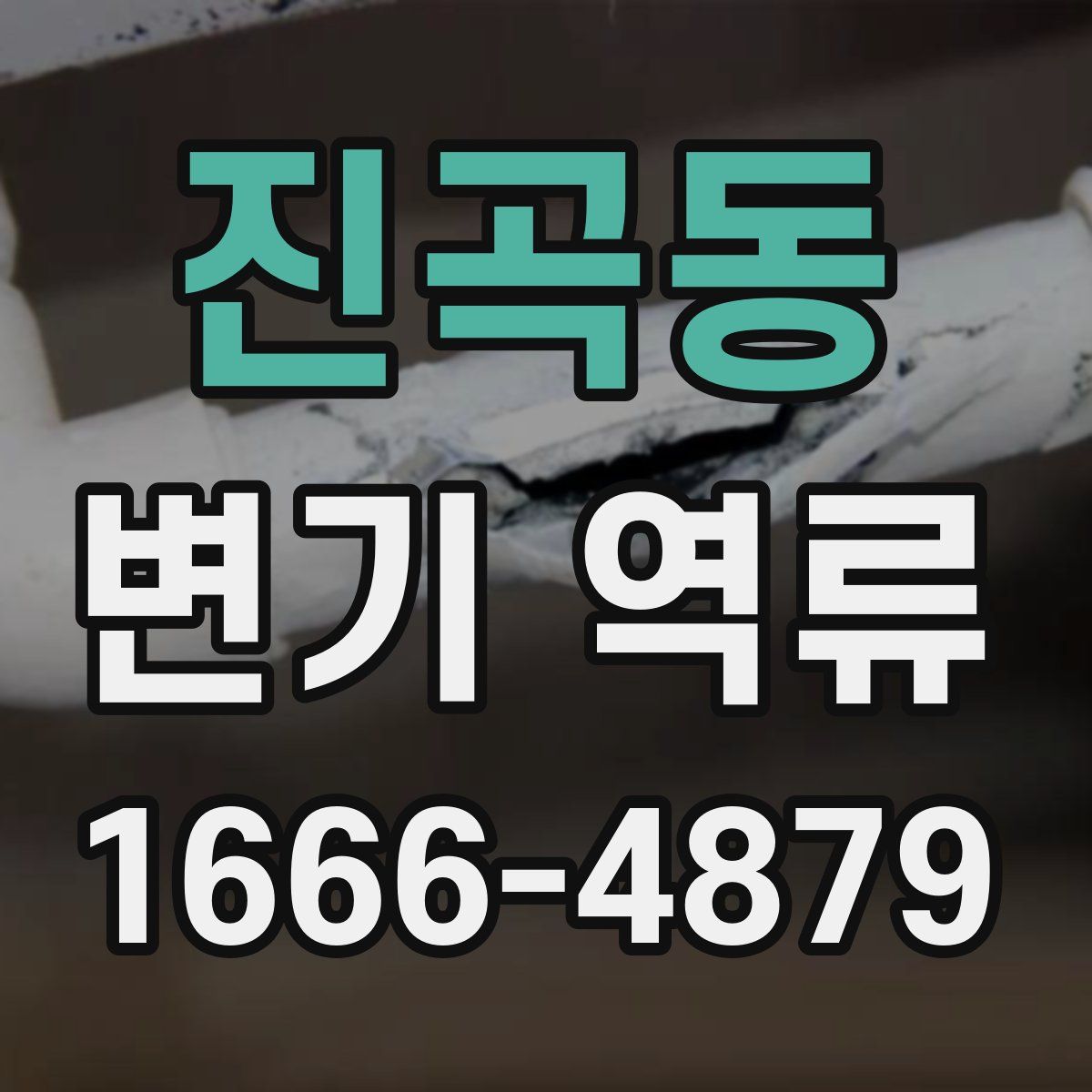 진곡동 변기 역류