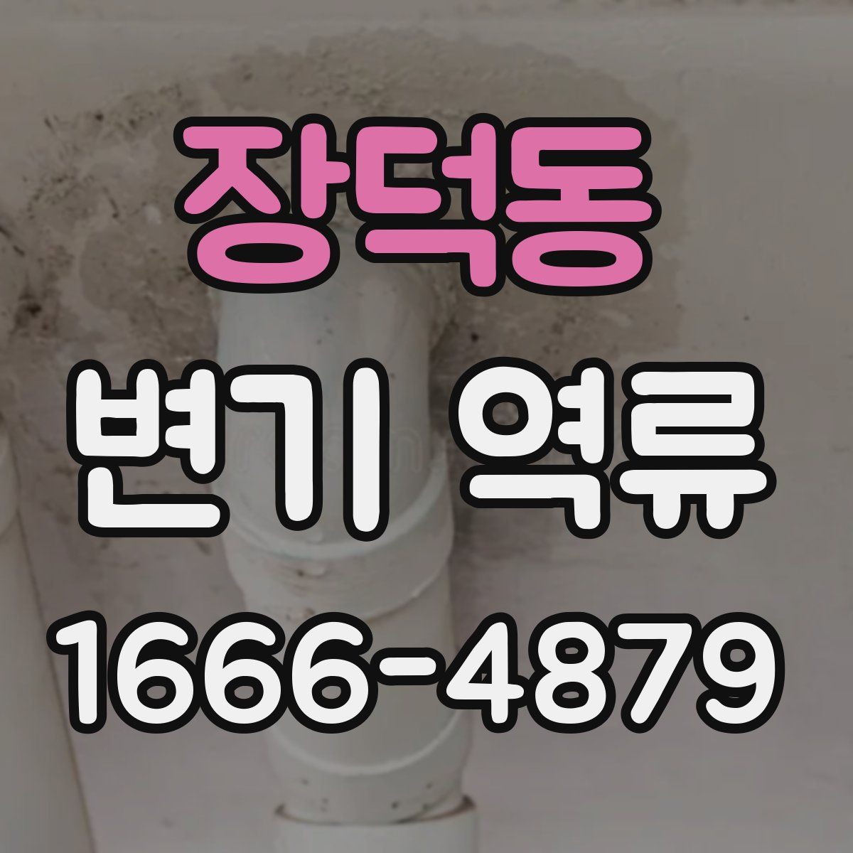 장덕동 변기 역류