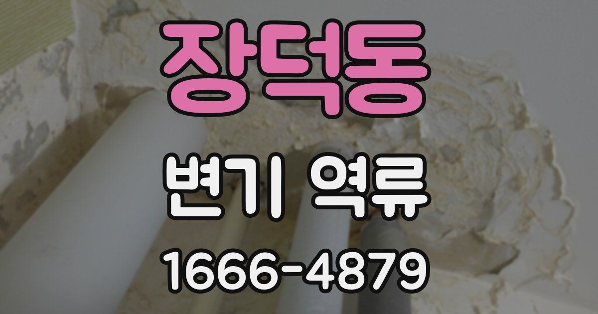 장덕동 변기 역류