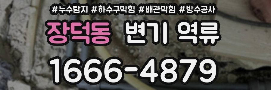 장덕동 변기 역류