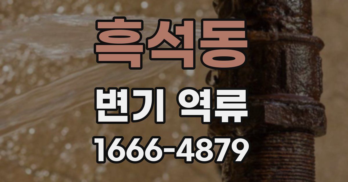 흑석동 변기 역류