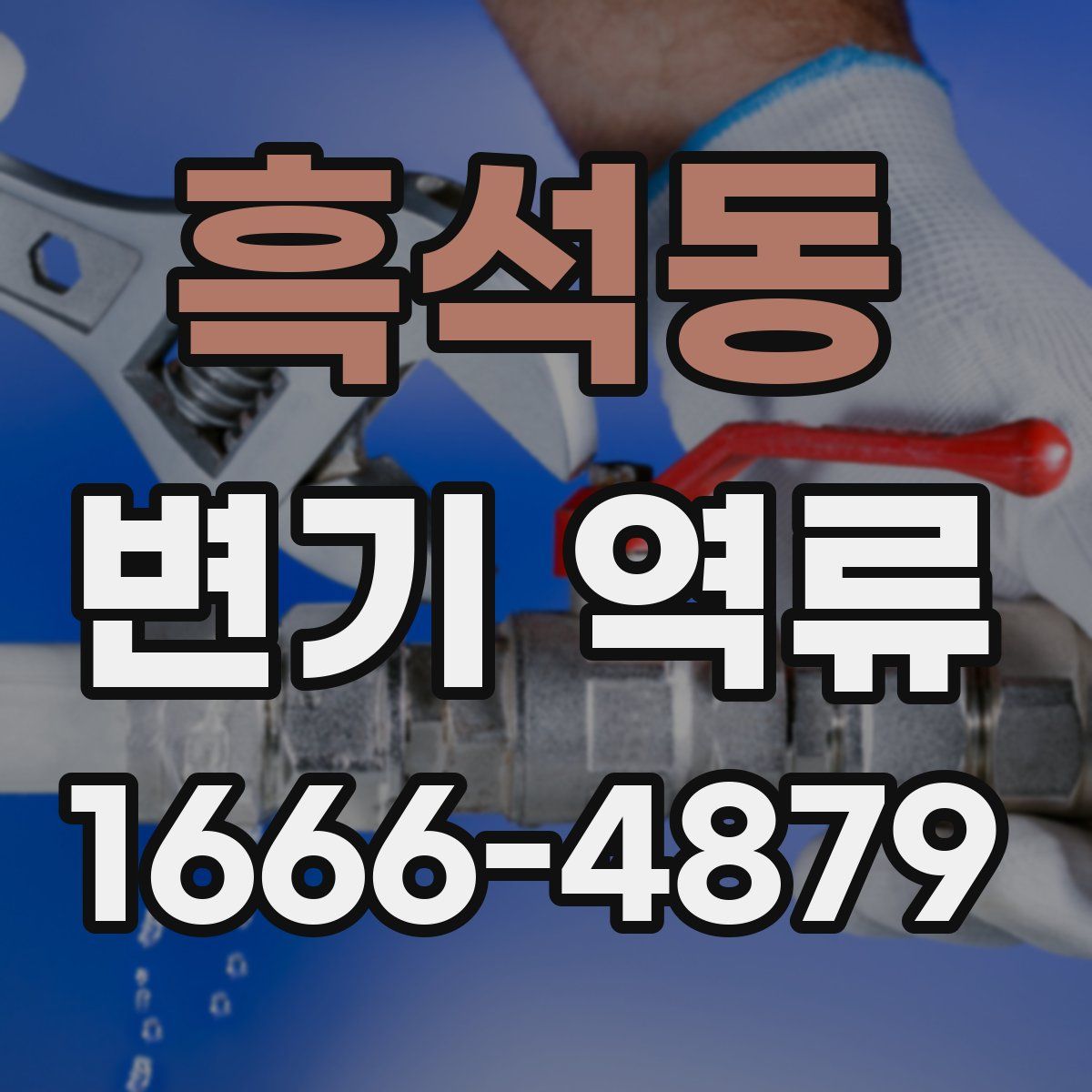 흑석동 변기 역류