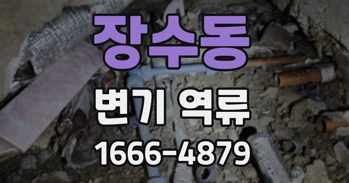 장수동 변기 역류