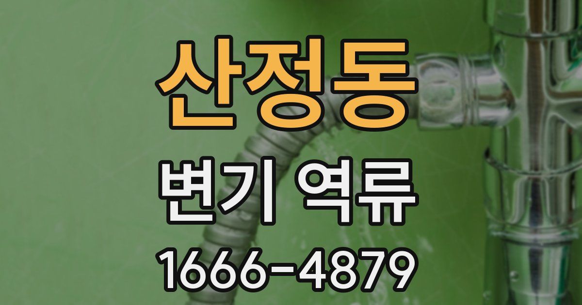 산정동 변기 역류