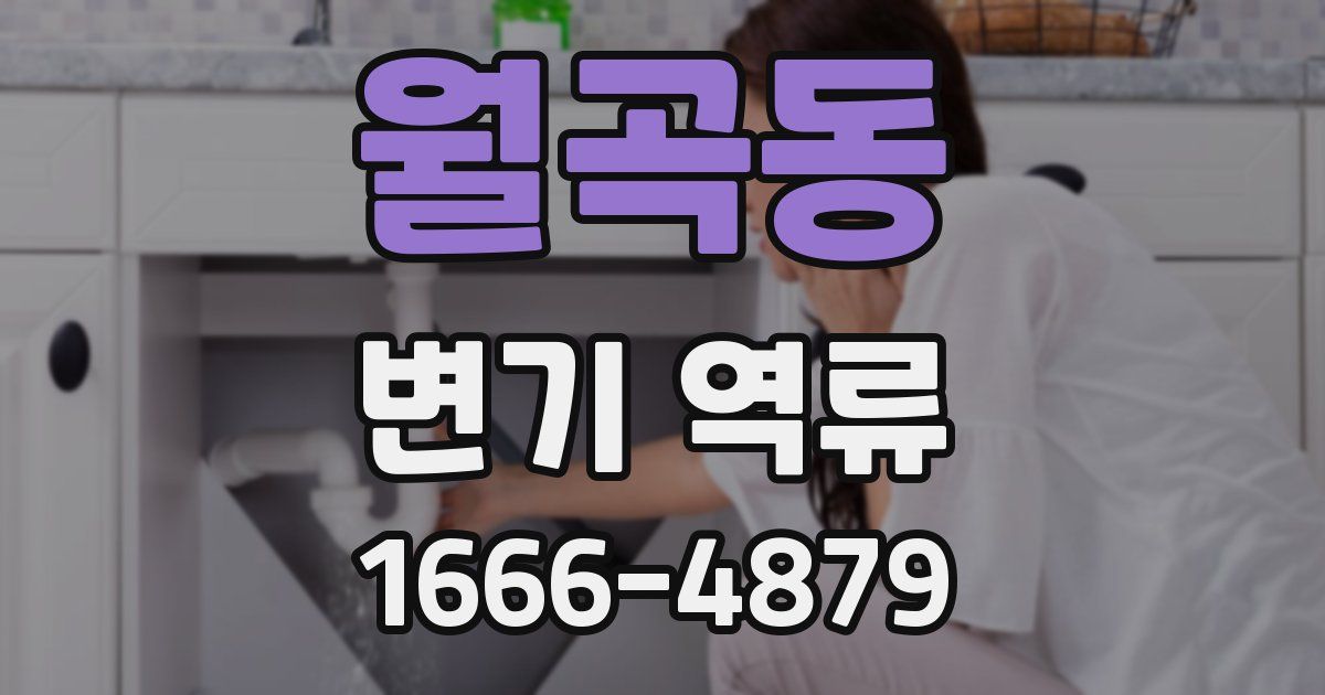 월곡동 변기 역류