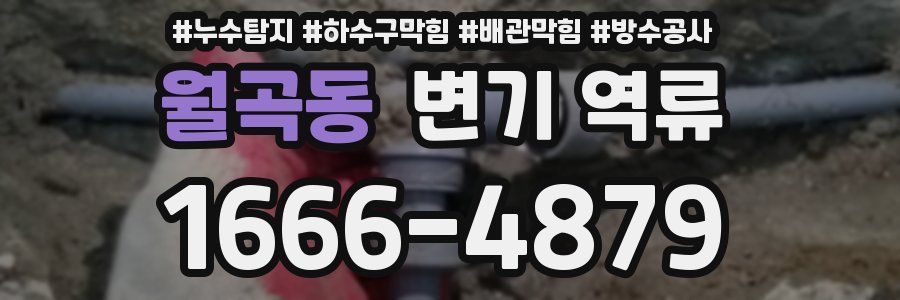 월곡동 변기 역류