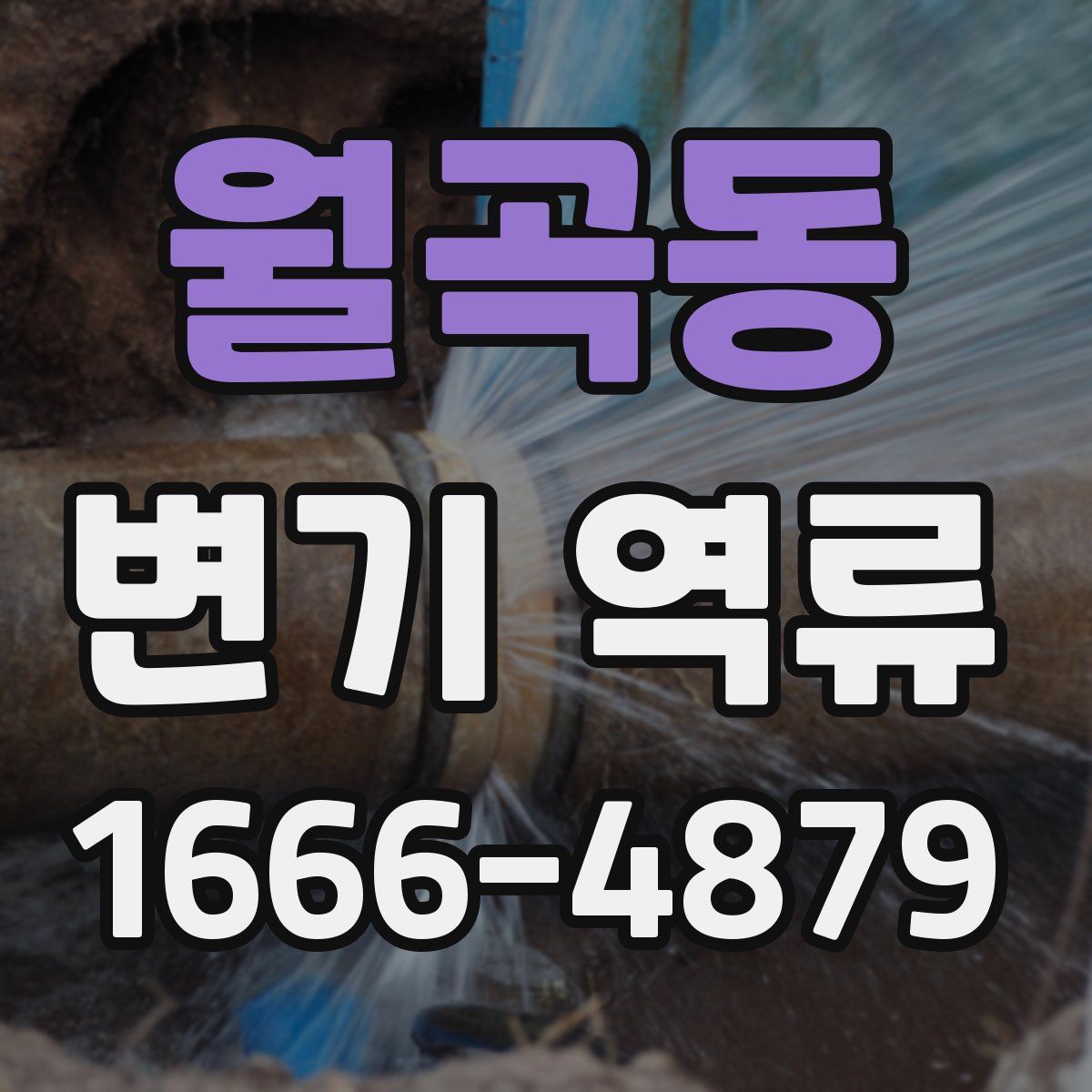 월곡동 변기 역류