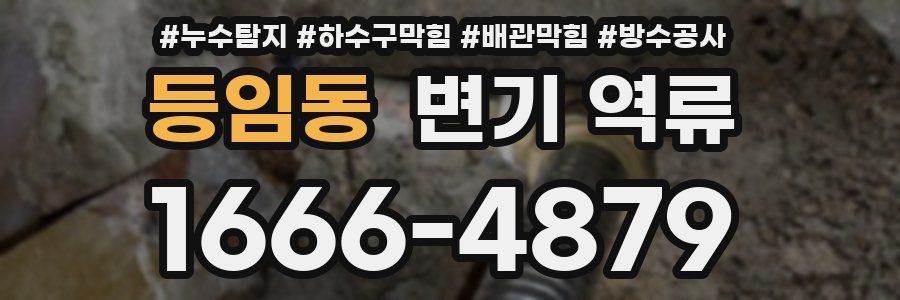 등임동 변기 역류