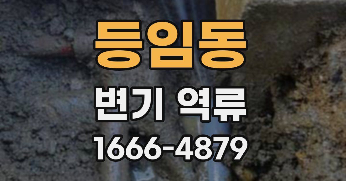 등임동 변기 역류