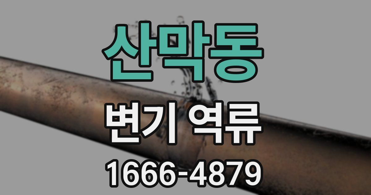산막동 변기 역류