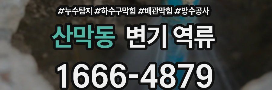산막동 변기 역류