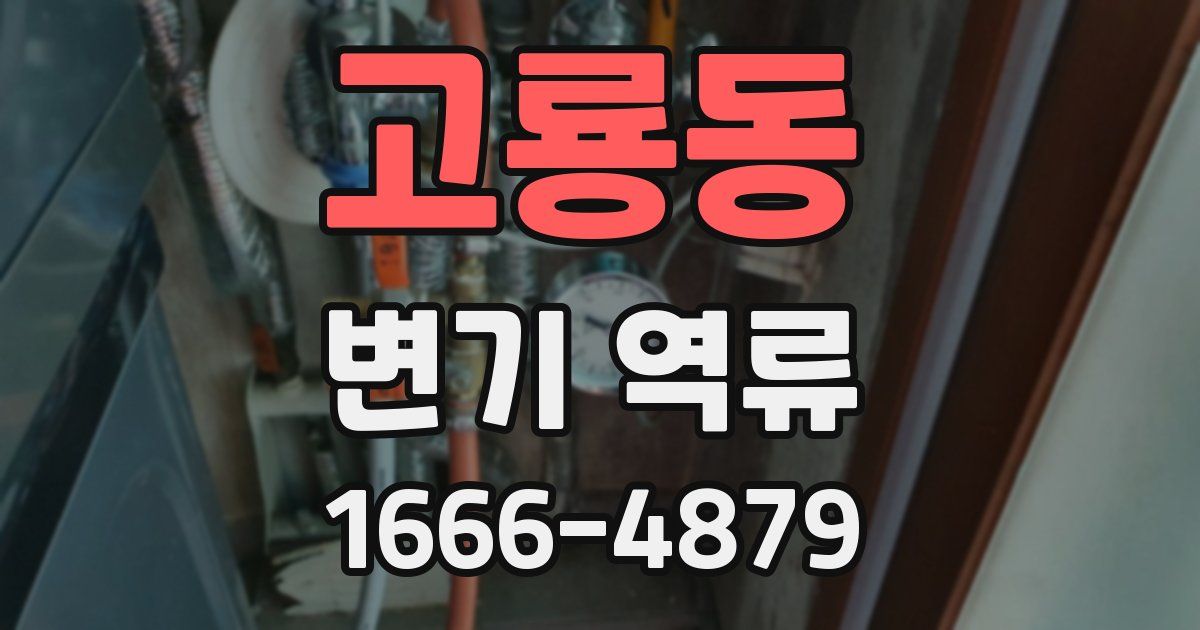 고룡동 변기 역류