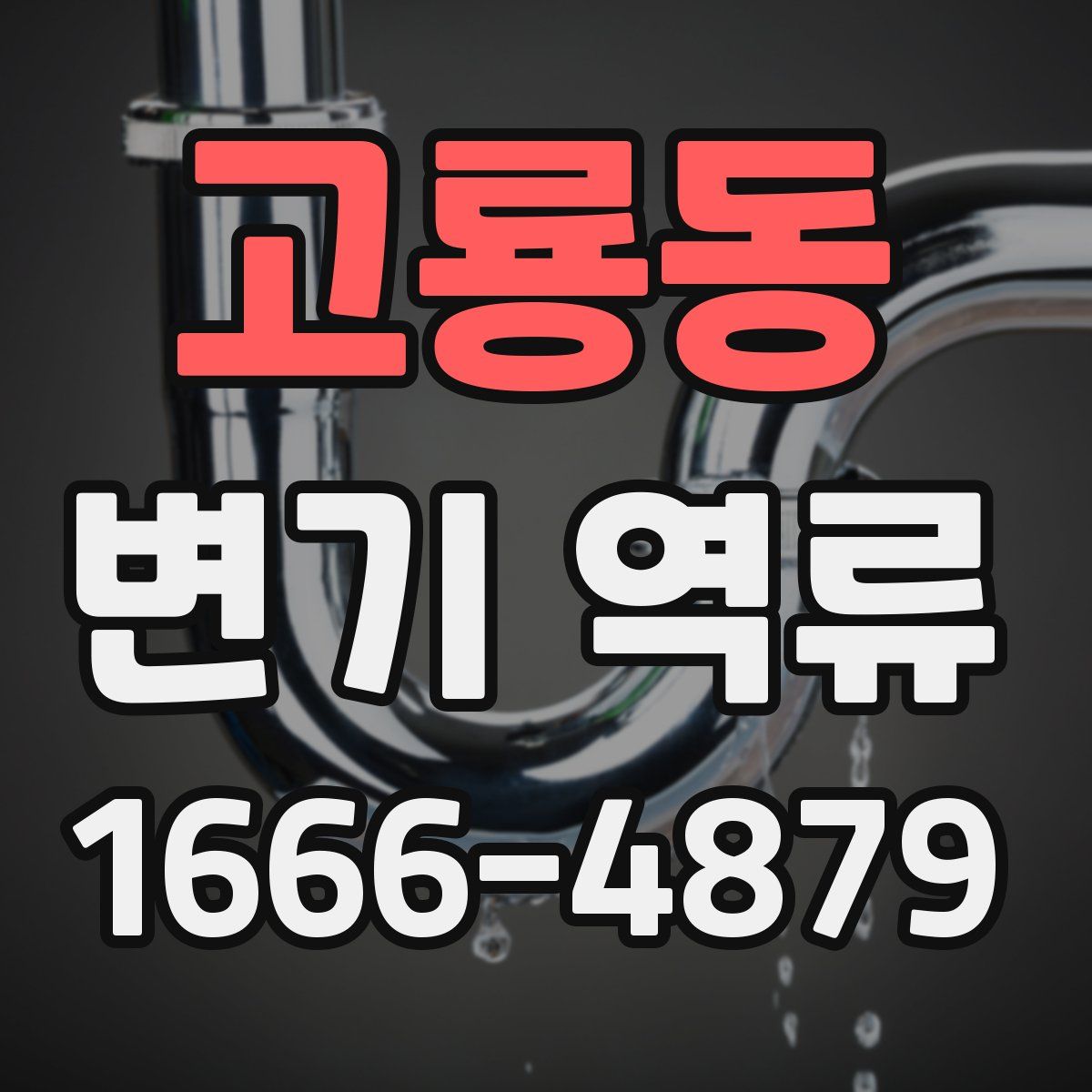 고룡동 변기 역류