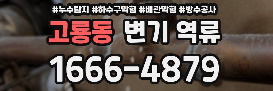 고룡동 변기 역류