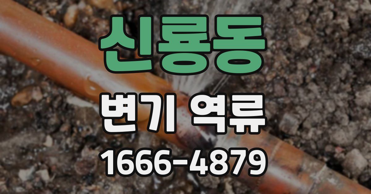 신룡동 변기 역류