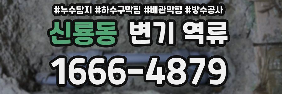 신룡동 변기 역류
