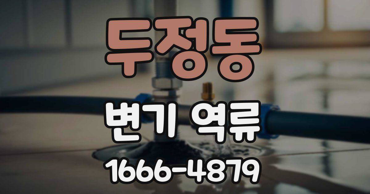 두정동 변기 역류