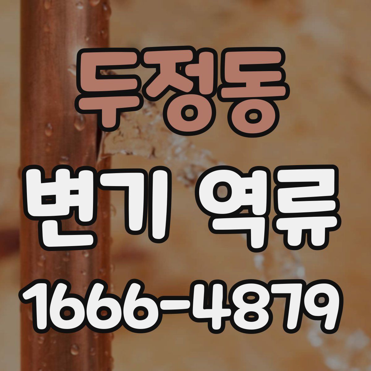 두정동 변기 역류