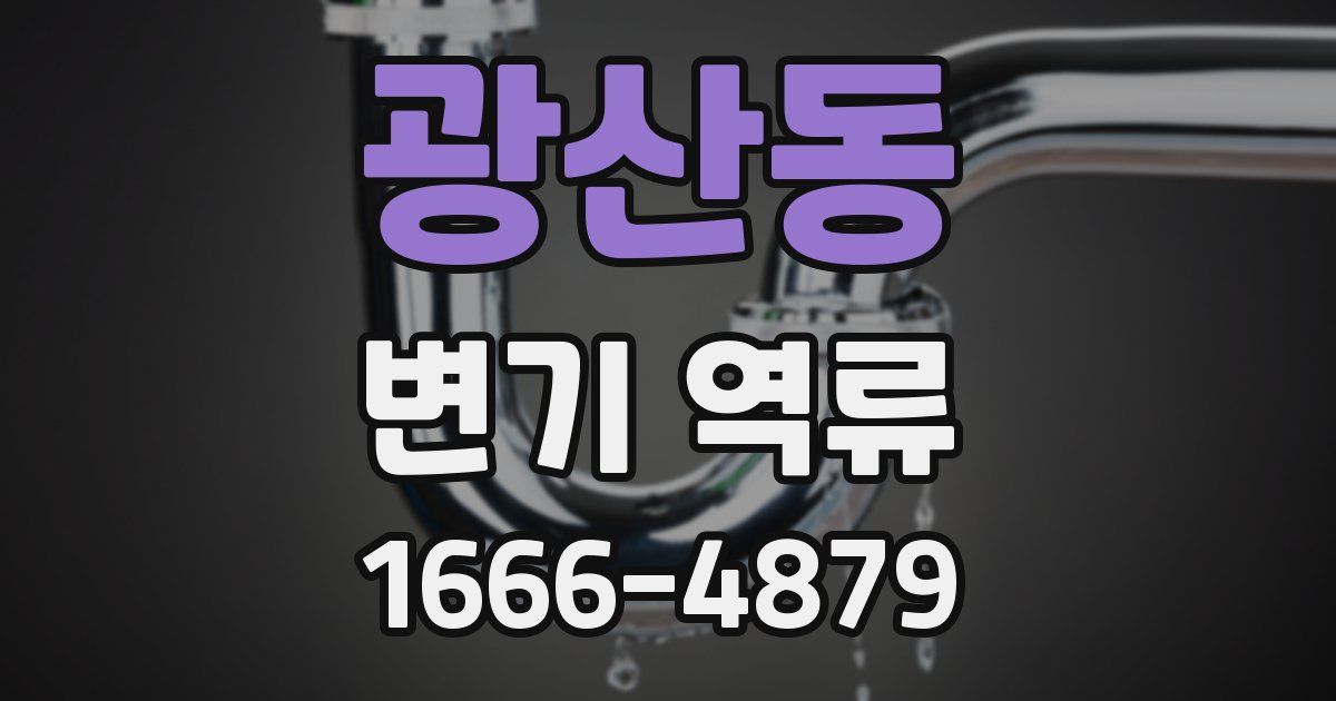 광산동 변기 역류