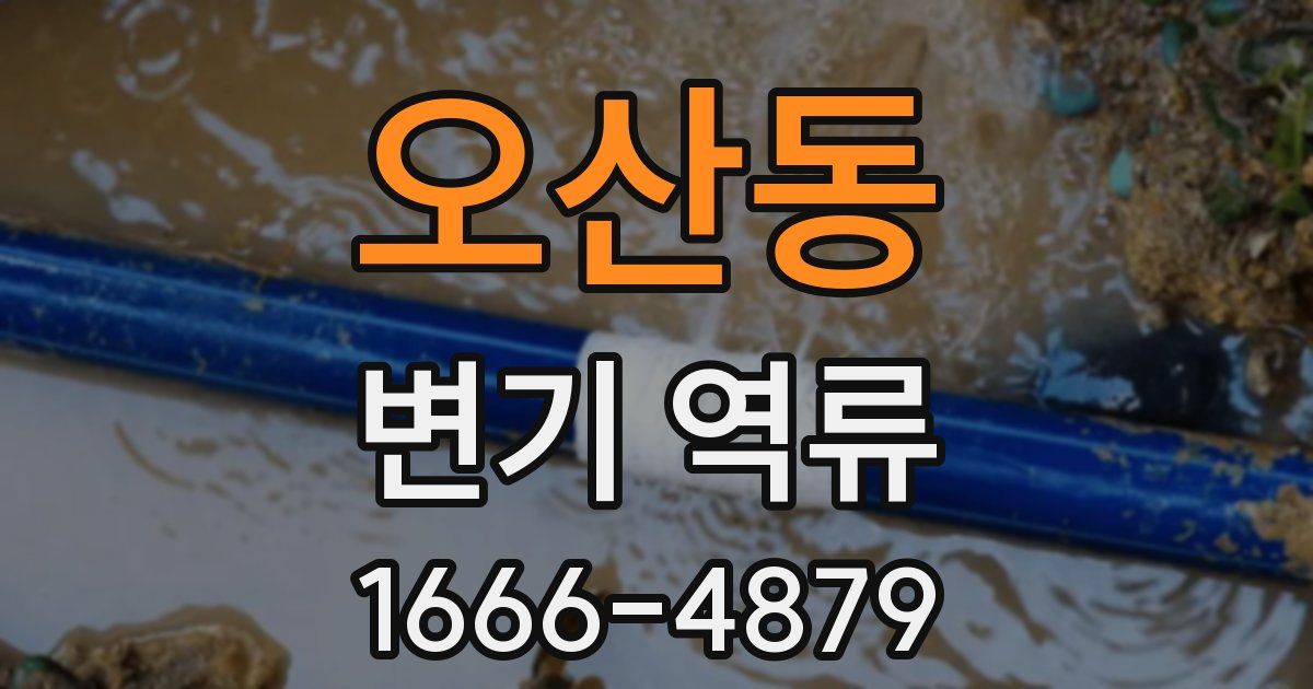 오산동 변기 역류
