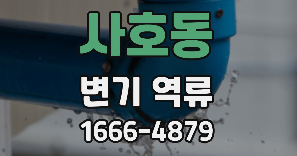 사호동 변기 역류