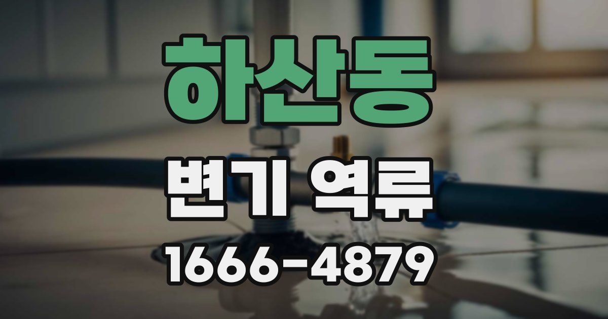 하산동 변기 역류