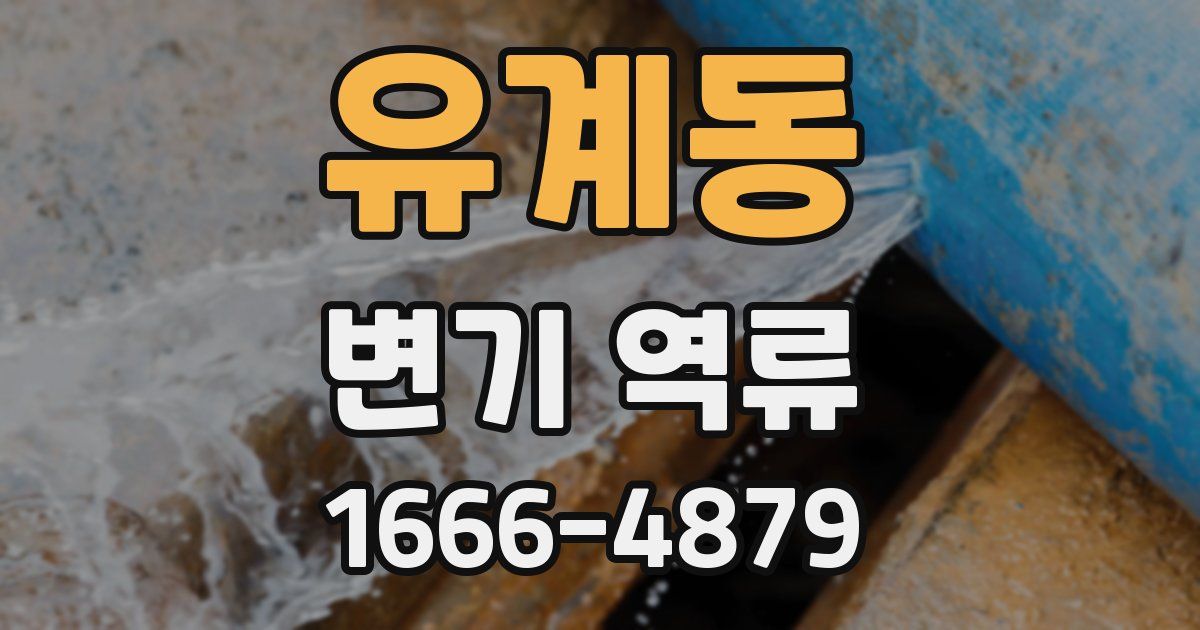 유계동 변기 역류