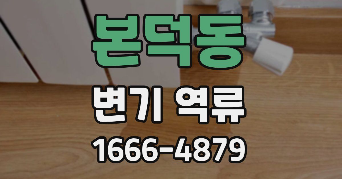 본덕동 변기 역류