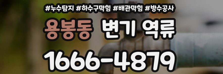 용봉동 변기 역류